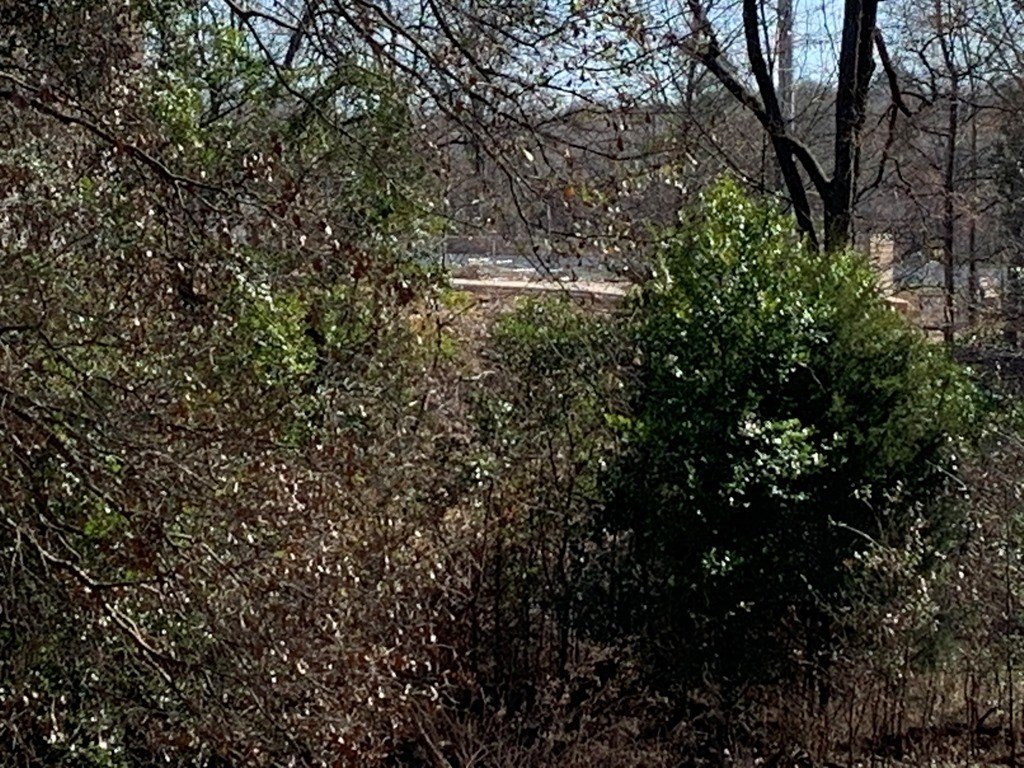 Picture 31