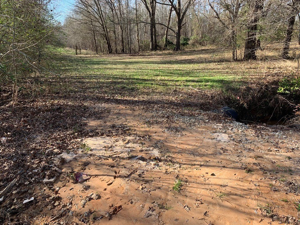 Picture 17