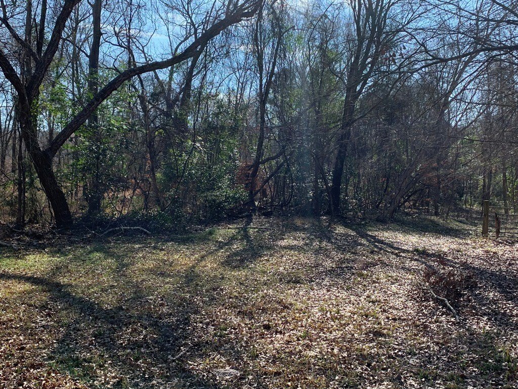 Picture 37