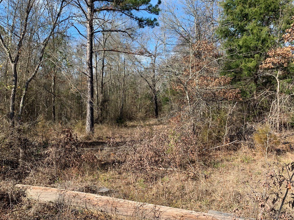Picture 25