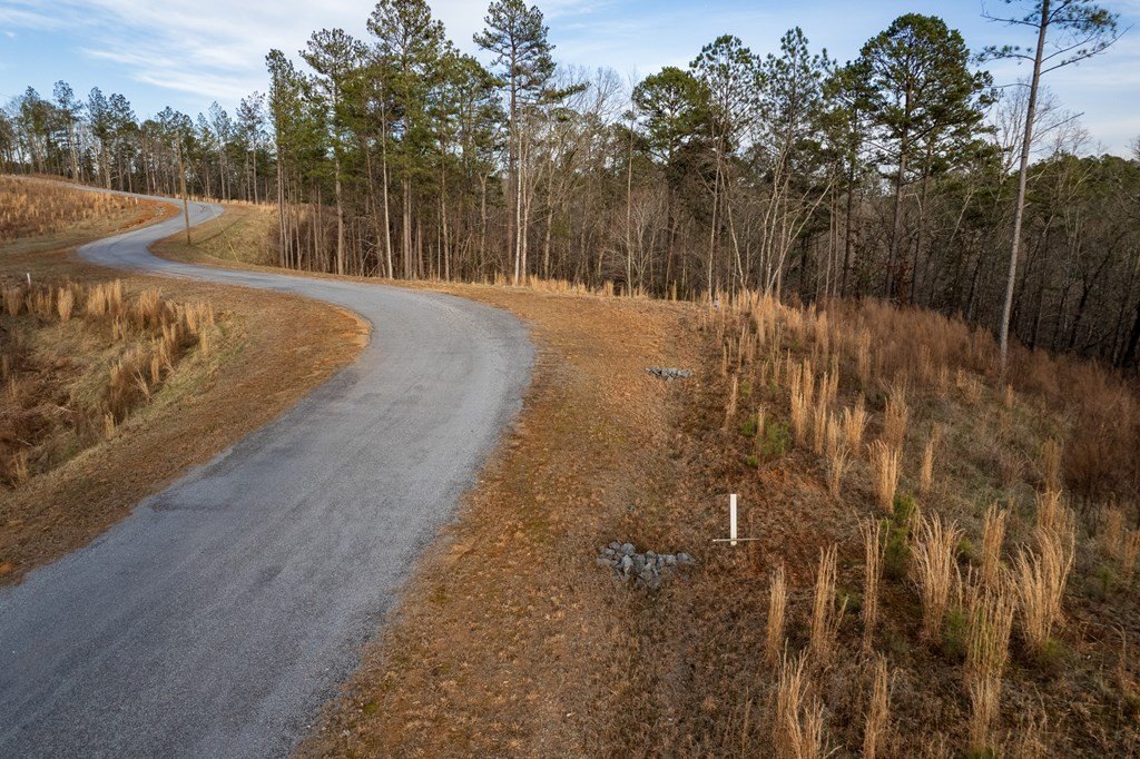 Picture 21