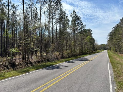 Recreational Homesite with Road Frontage