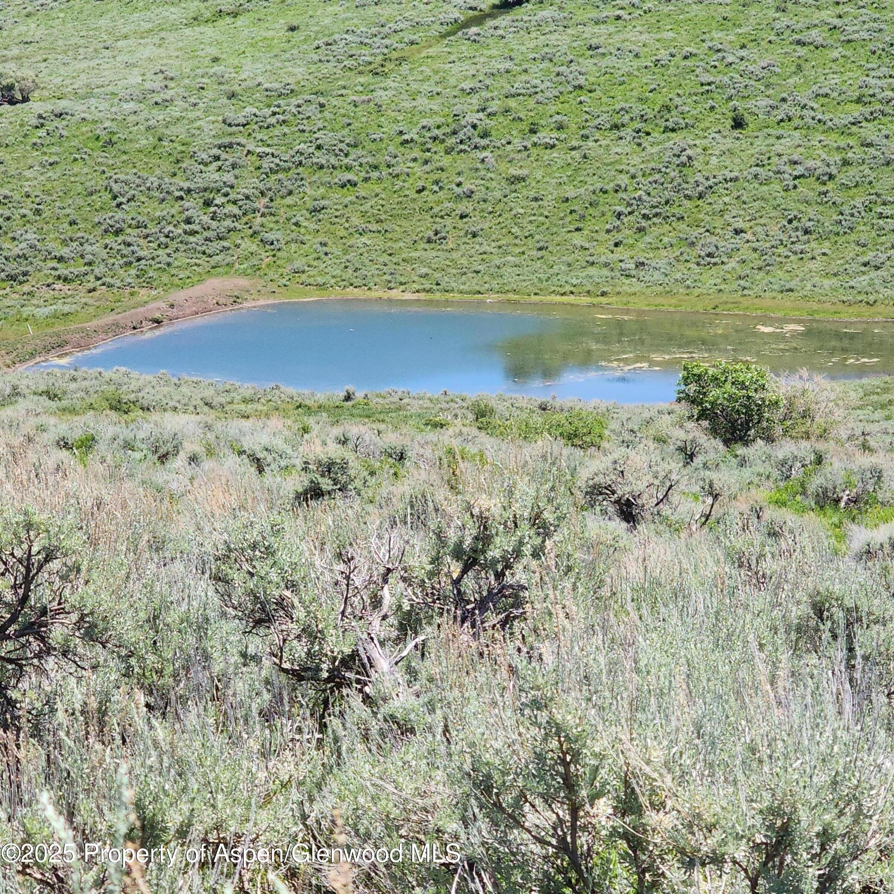 160 Acre Hunting and Recreation Parcel