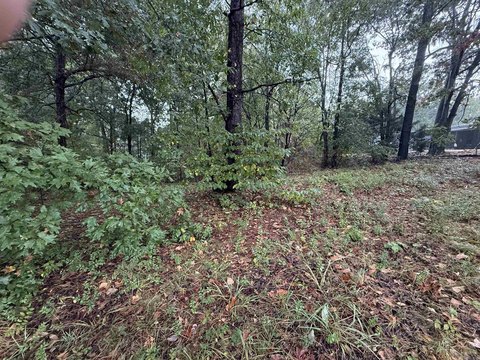 Vacant Land, Paragould, AR