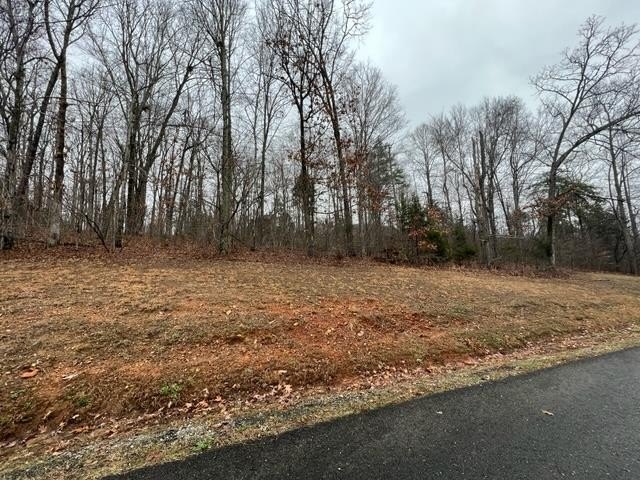 Allons, TN Building Lots