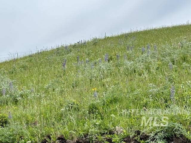 Picture 12