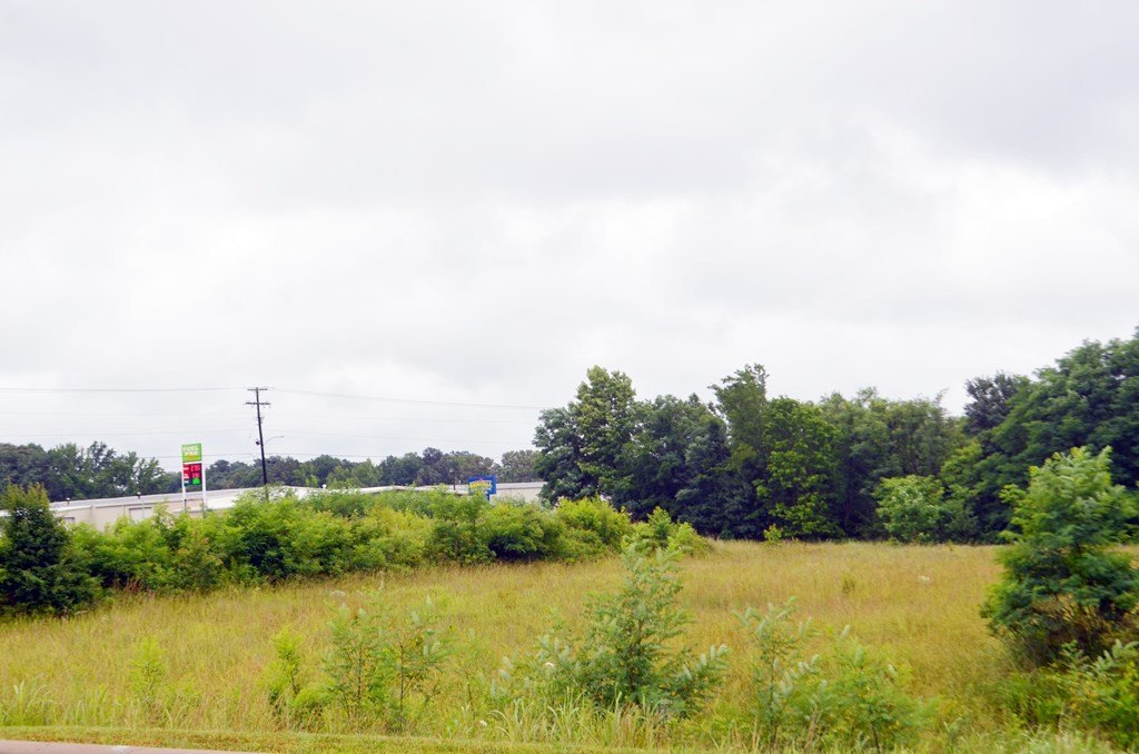 Picture 4