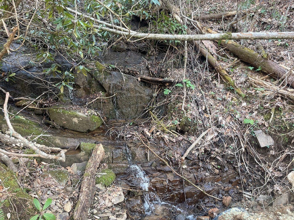Picture 41