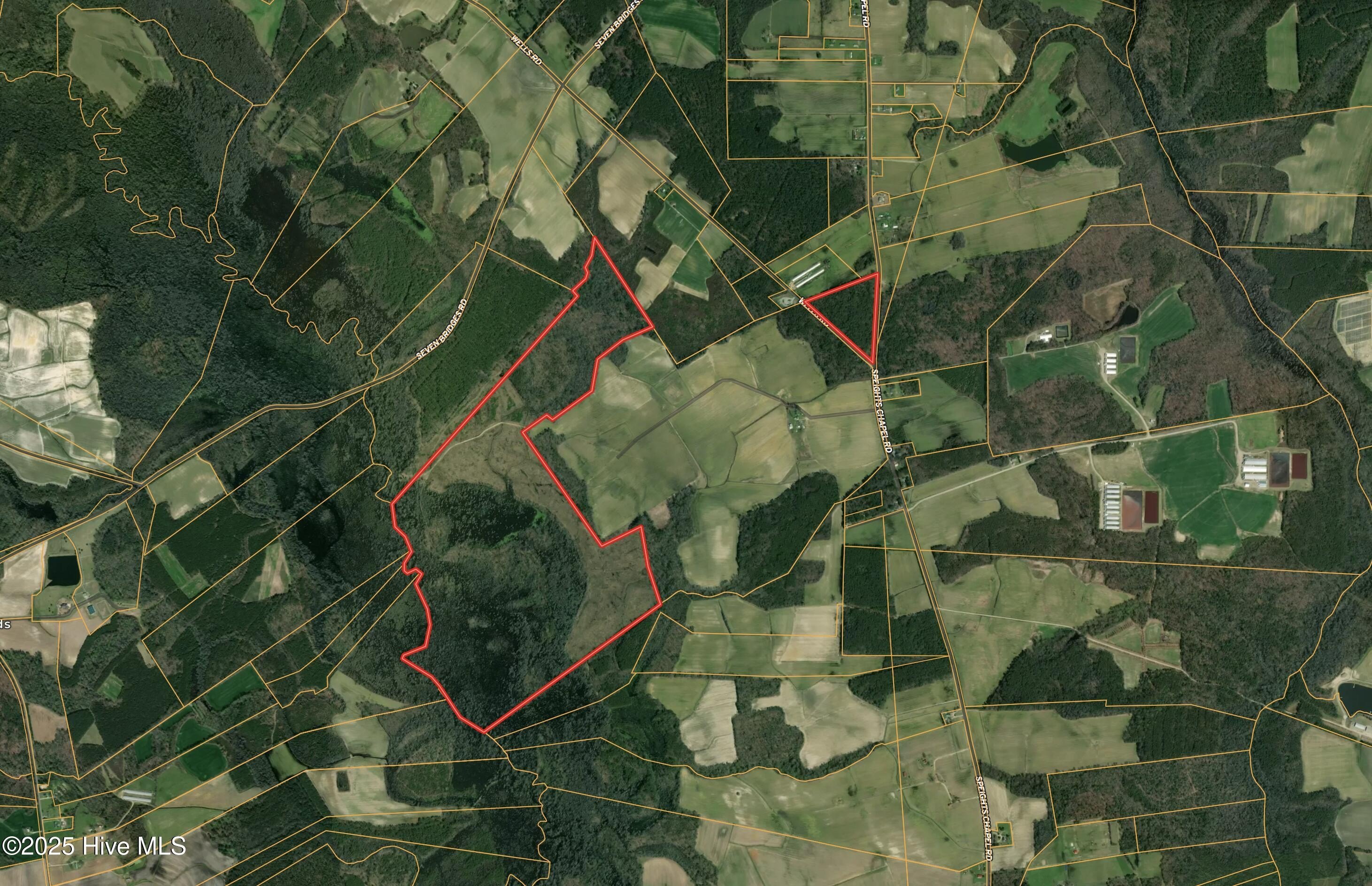 Edgecombe County Hunting and Timberland