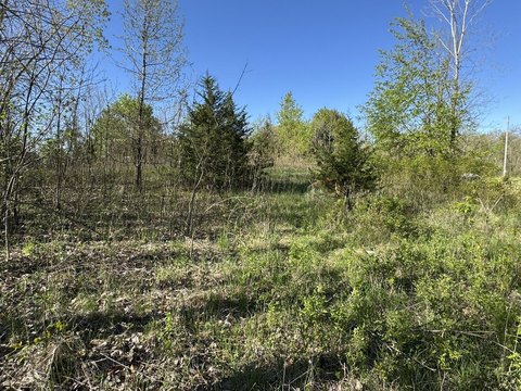 Residential Land in Eaton Rapids