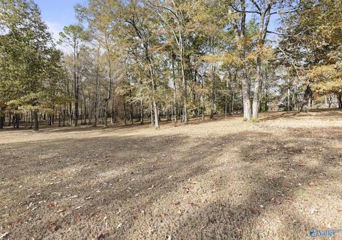 LAND - Scottsboro, AL