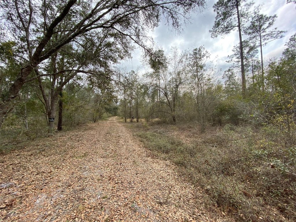 Picture 18