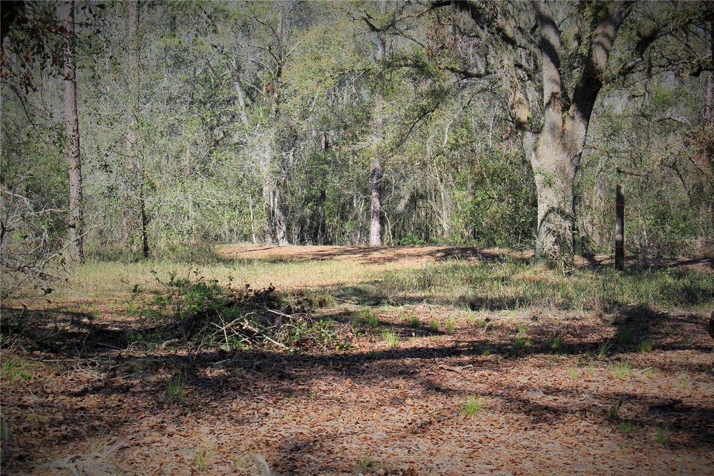 Picture 22