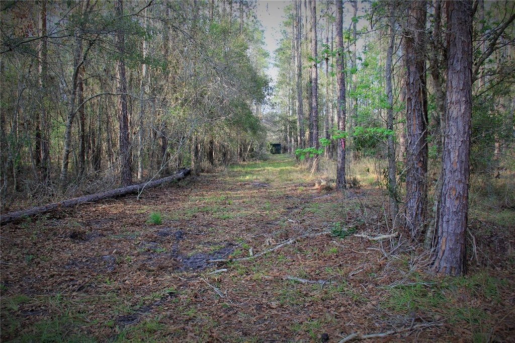 Picture 4