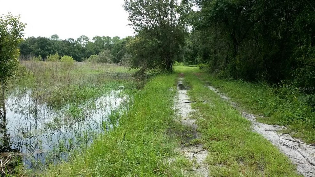 Picture 21