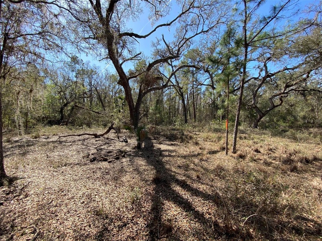 Picture 14