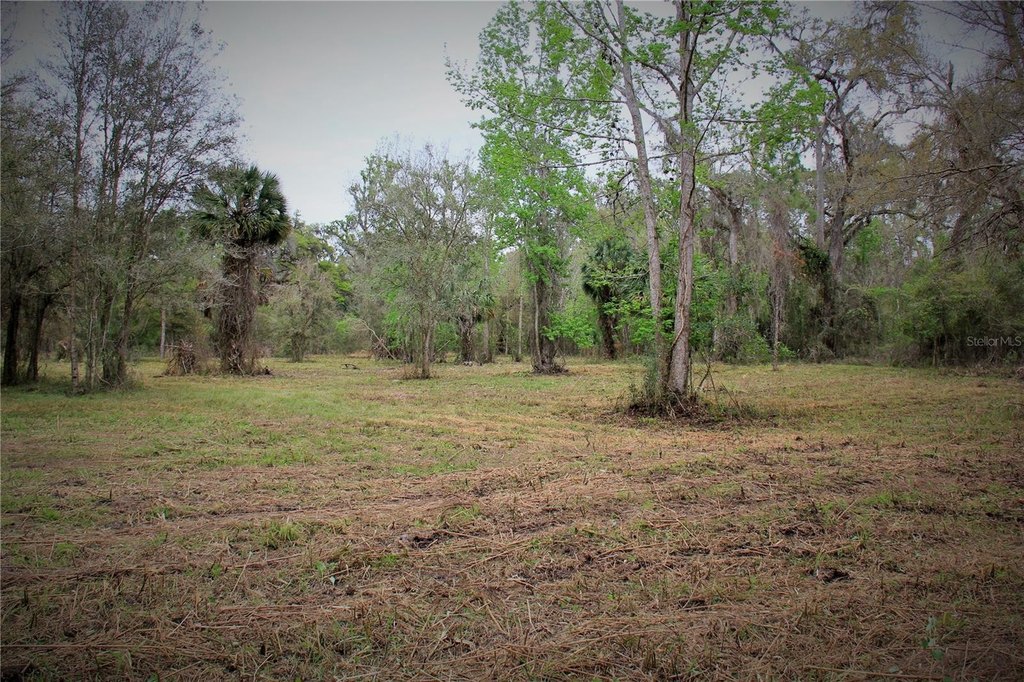 Picture 9