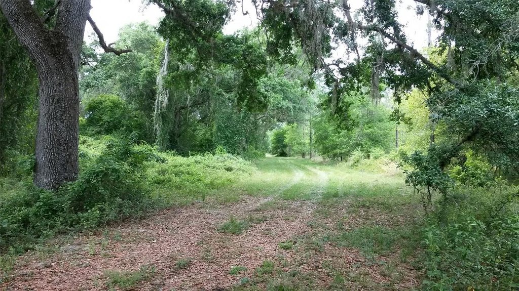 Picture 12