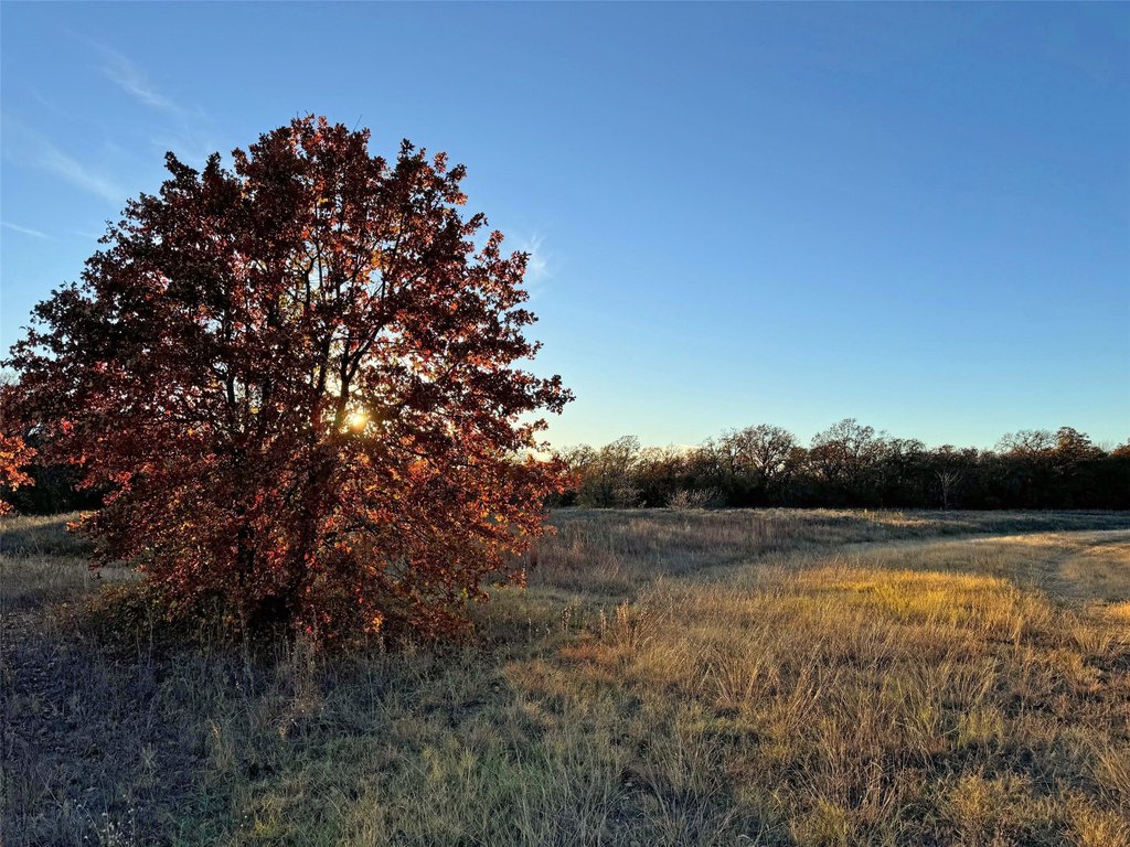 Picture 24