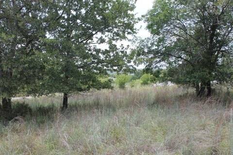 Lake Bridgeport Interior Lot