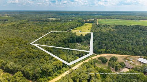 LAND - Black, AL