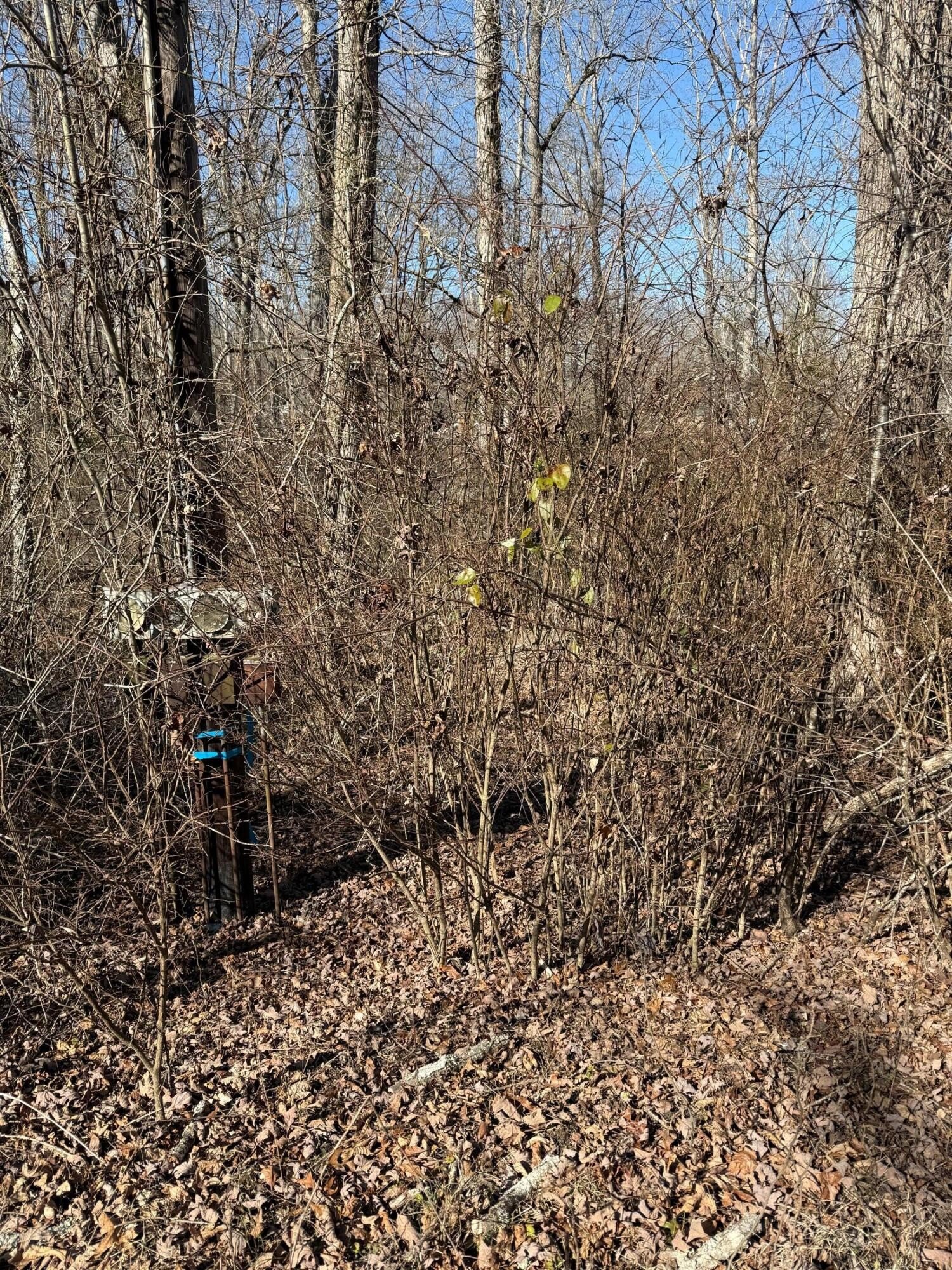 Land on Indian Rock Lake