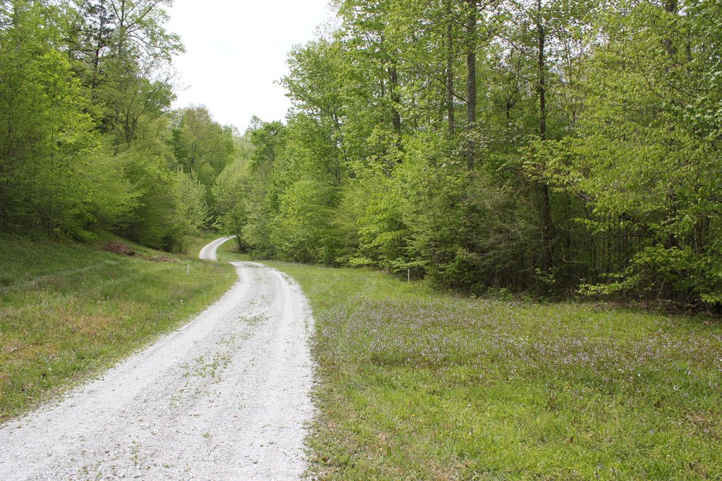 Picture 9