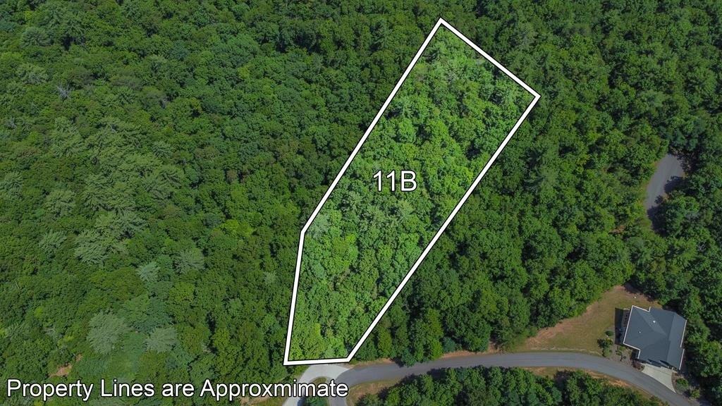 Blairsville Homesite in Prospectors Cove