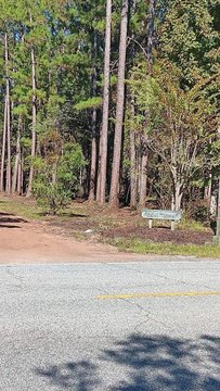 Townsend, GA Building Lot