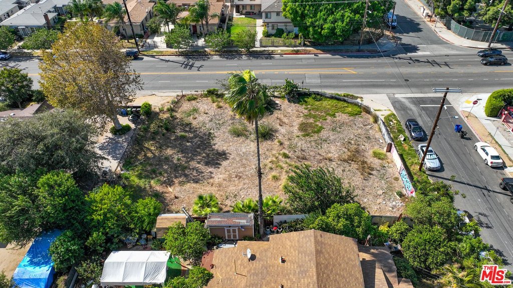 Picture 10