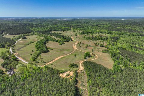 Rolling Pasture and Timber Land