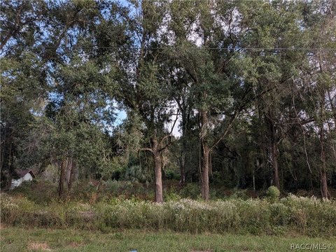 Land, Floral City, FL