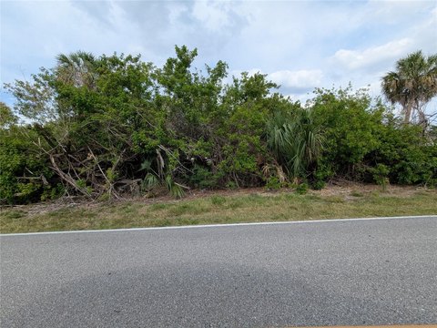 Residential Lot in Punta Gorda