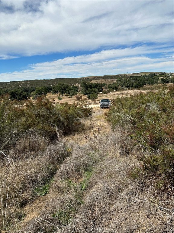 Picture 11