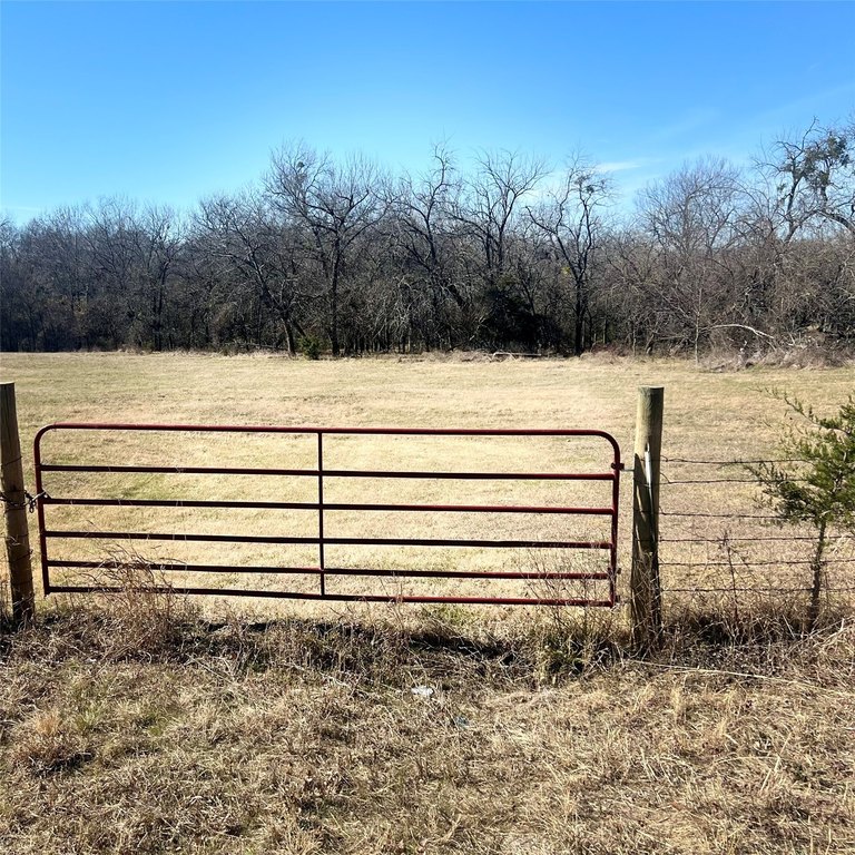 Picture 9