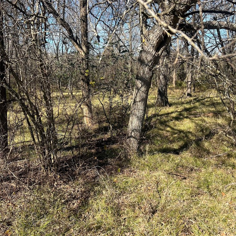 Picture 6