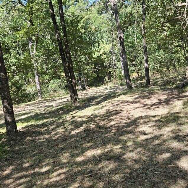 Picture 5