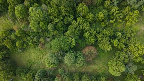Land, Ionia, NY