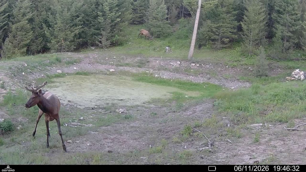 Picture 26