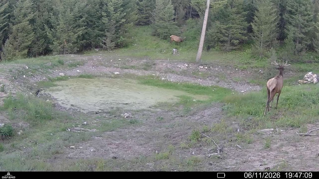 Picture 25