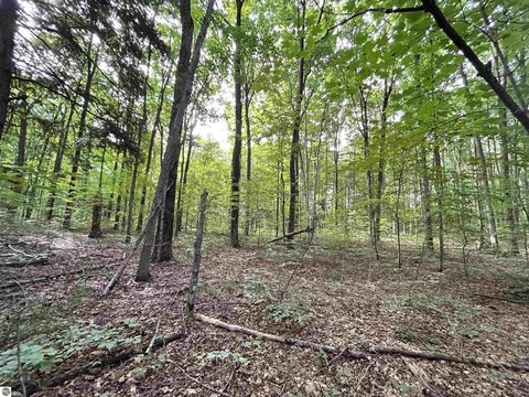Interlochen 10-Acre Wooded Parcel