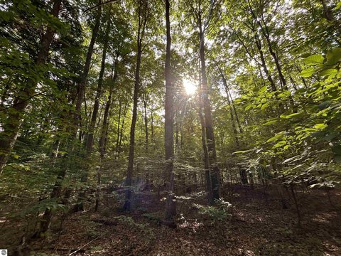 Interlochen 10-Acre Wooded Parcel
