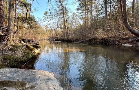 Secluded Wooded Land with Creek