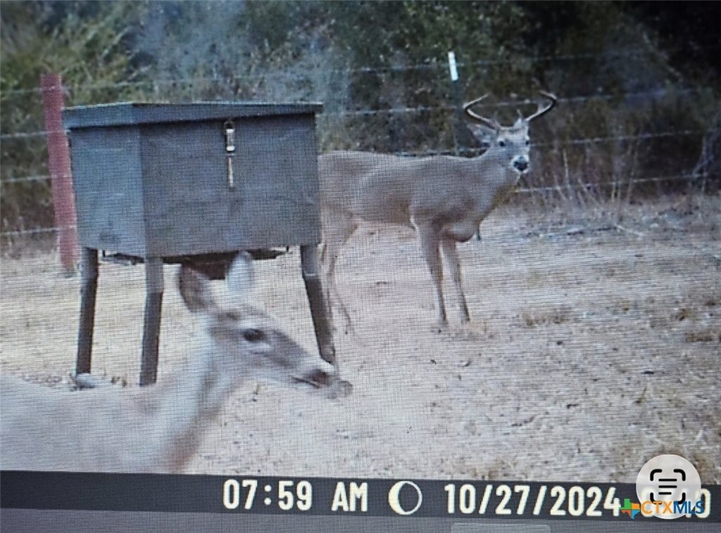 Picture 17