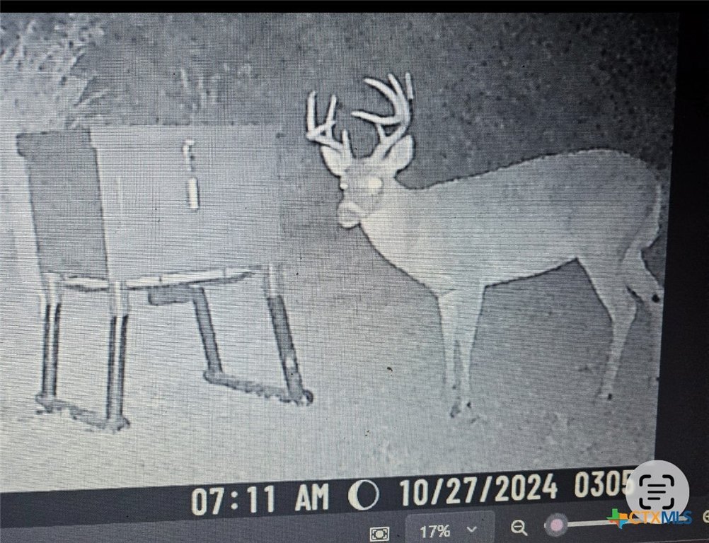 Picture 18
