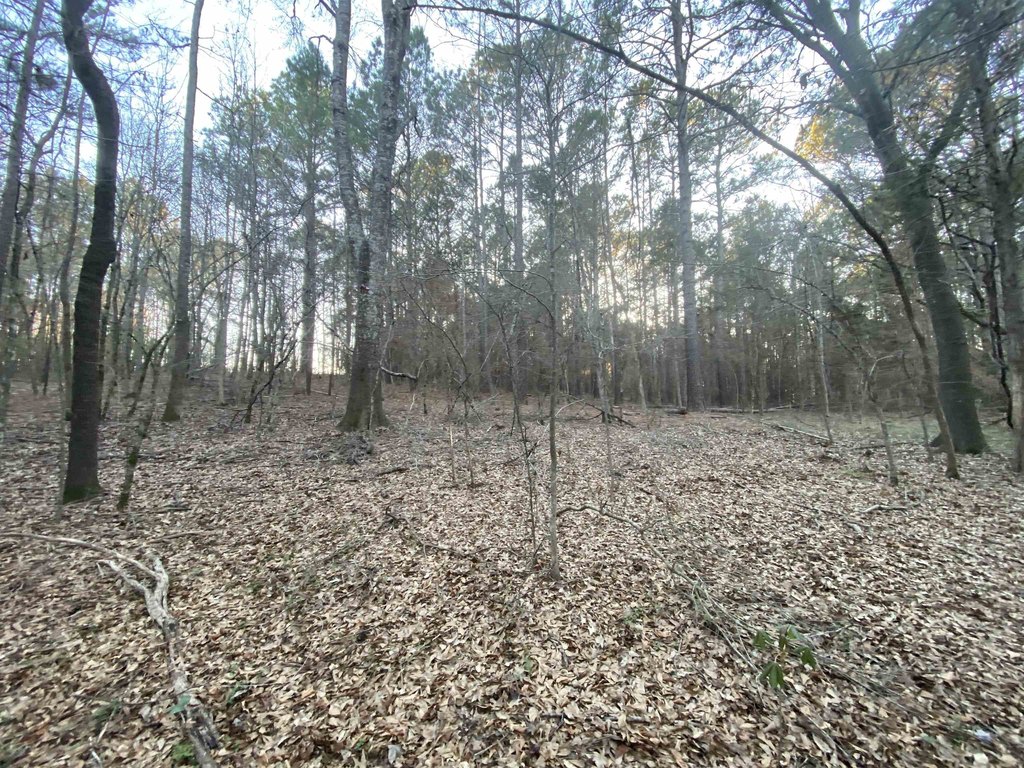 Picture 14