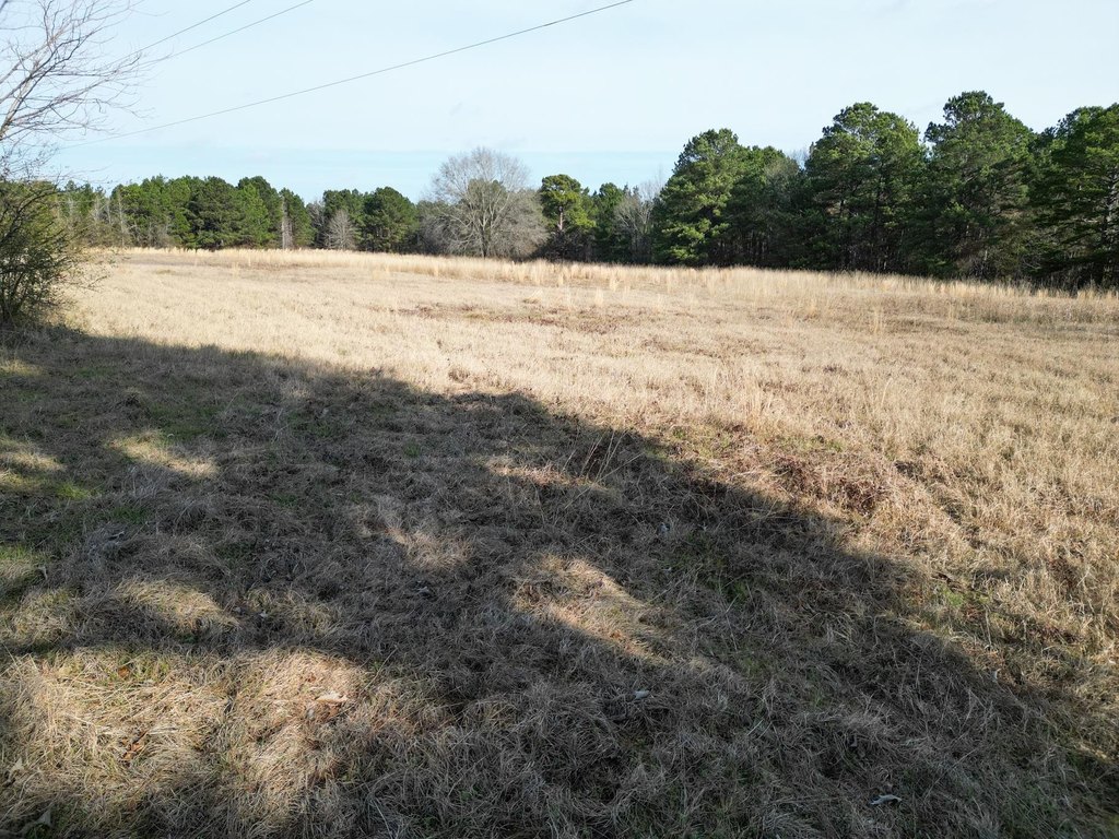 Picture 12