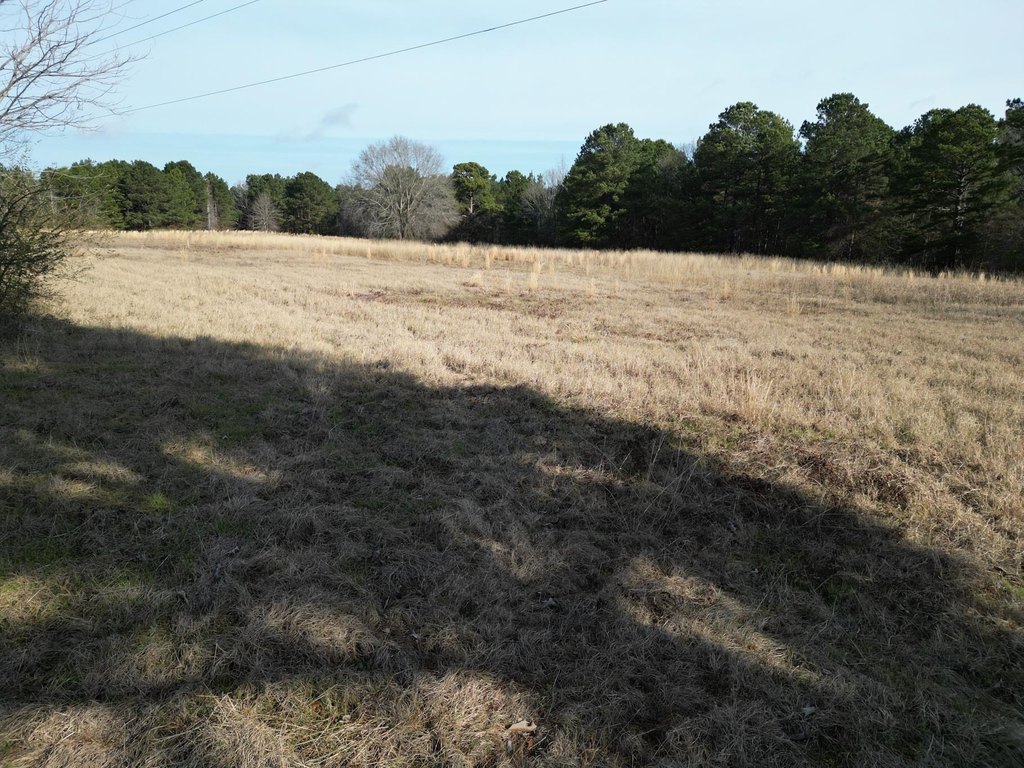 Picture 4