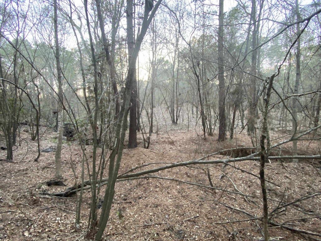 Picture 19