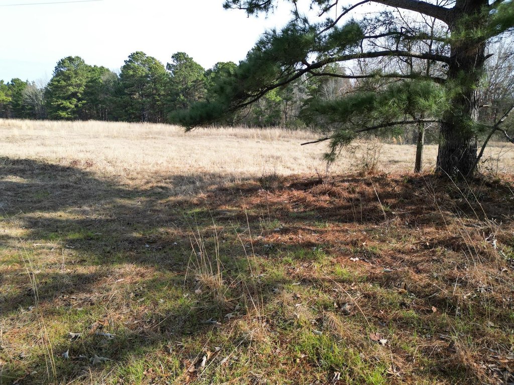 Picture 13